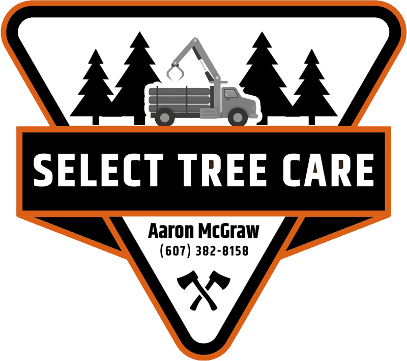 Select Tree Care